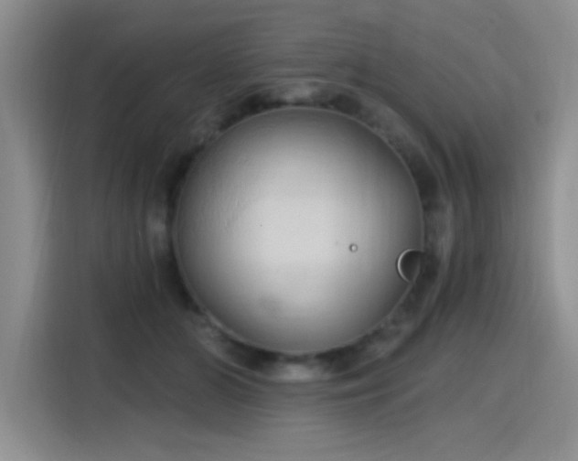 X0000115790510200911201335