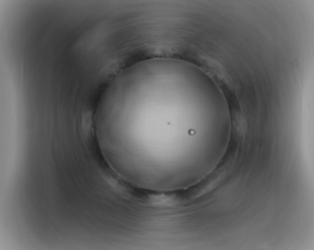 X0000115790511200911201335