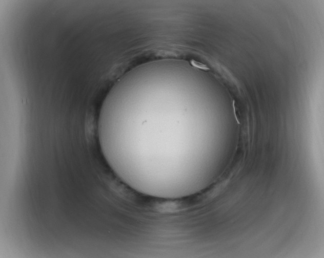 X0000115790513200911201334