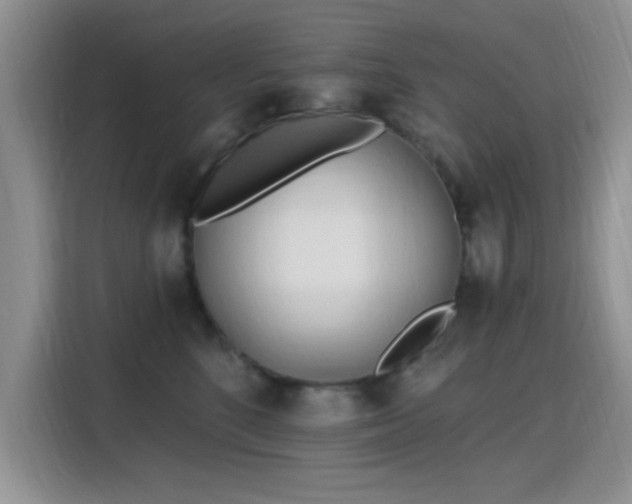 X0000115790520200911201334