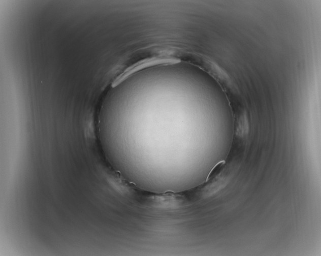 X0000115790524200911201334