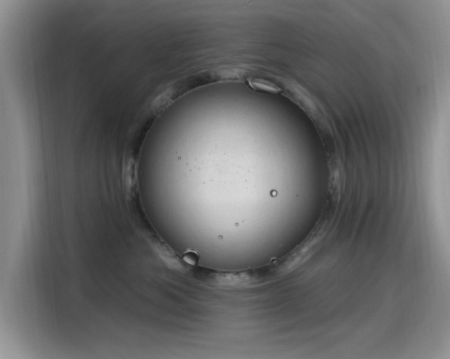 X0000115790525200911201334