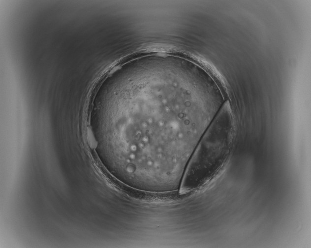 X0000115790529200911201334