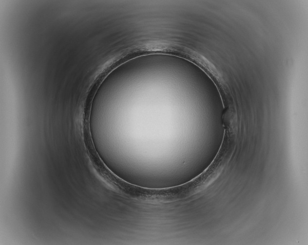 X0000115790530200911201334