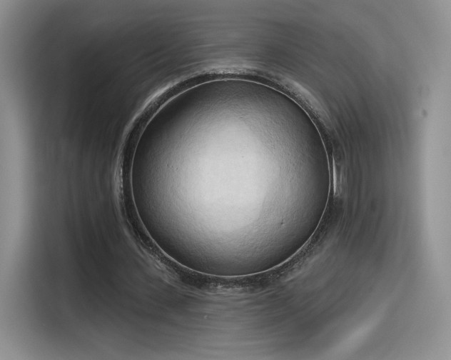 X0000115790531200911201334