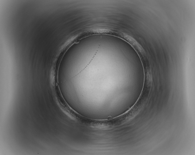 X0000115790533200911201334