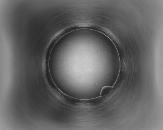 X0000115790535200911201334