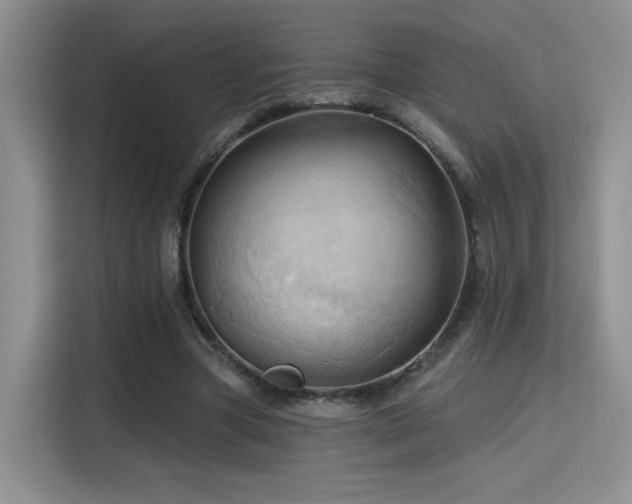 X0000115790537200911201334