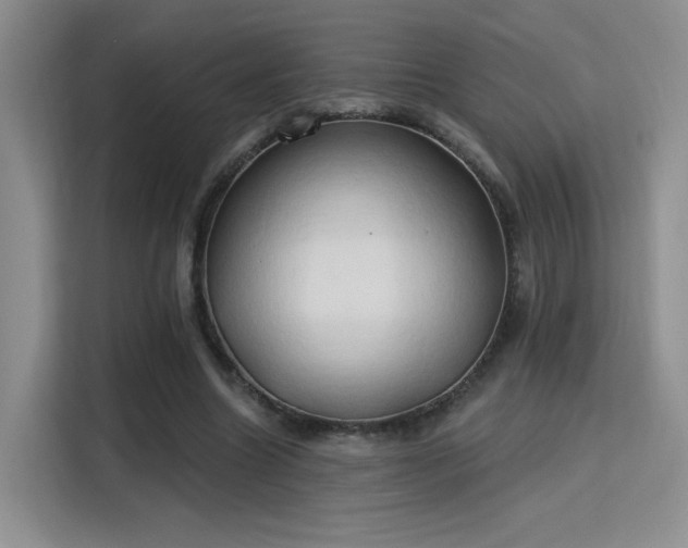 X0000115790538200911201334