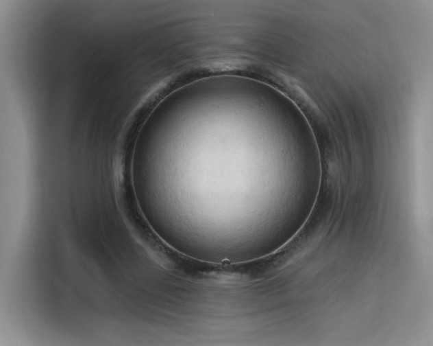 X0000115790539200911201334