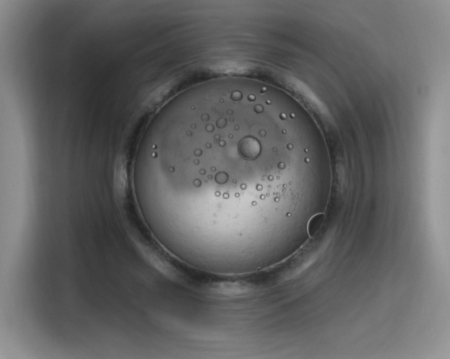 X0000115790541200911201334