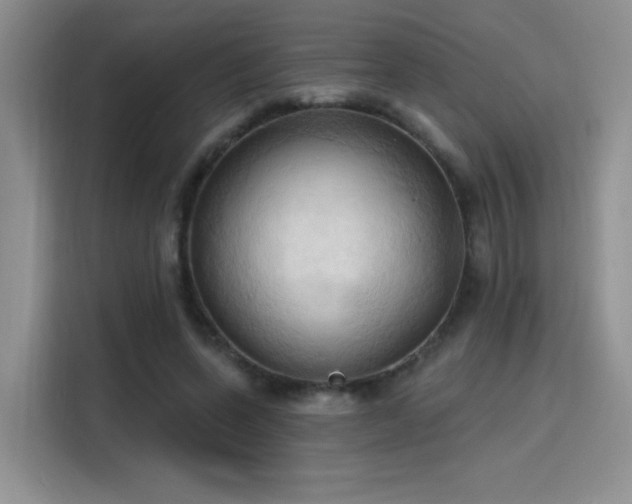 X0000115790543200911201334