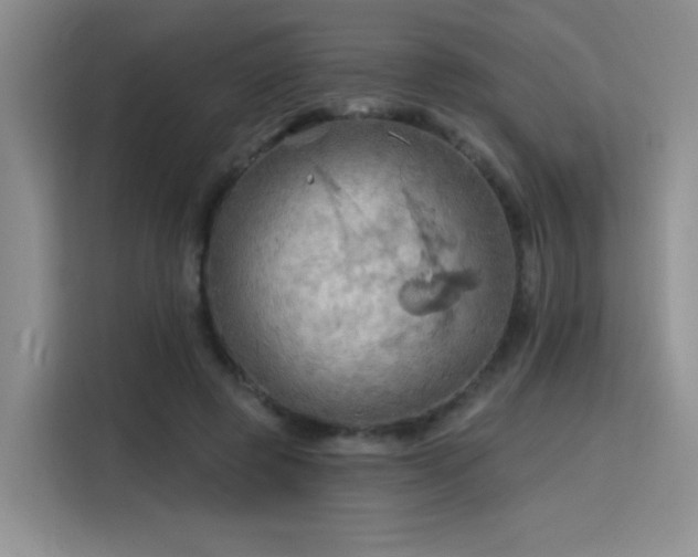 X0000115790545200911201334