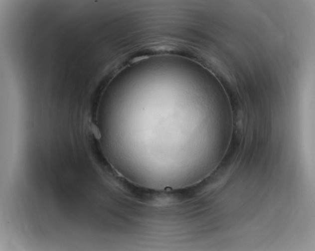 X0000115790547200911201334