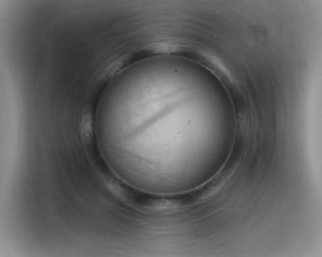 X0000115790549200911201334