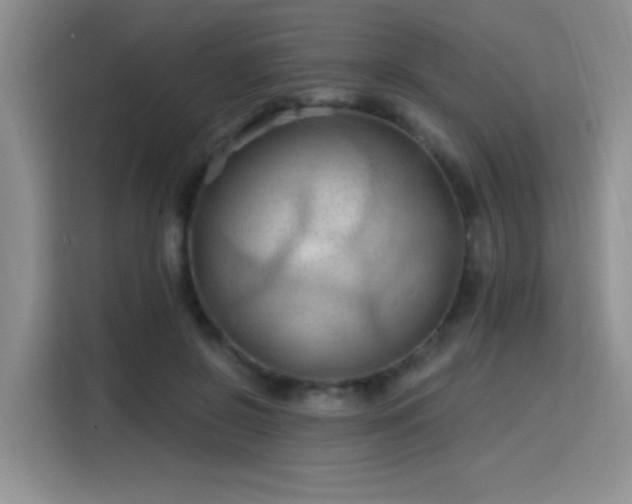 X0000115790550200911201334