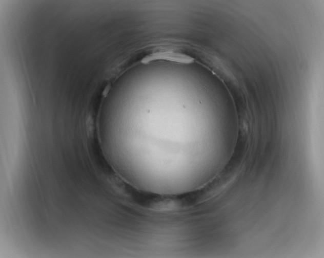 X0000115790551200911201334