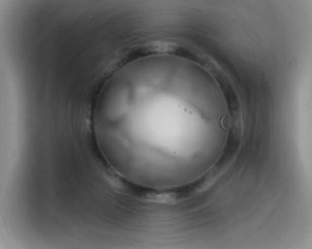 X0000115790553200911201334