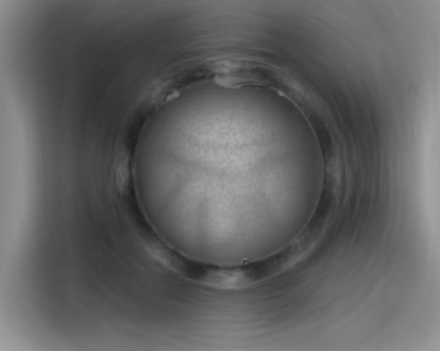 X0000115790554200911201334