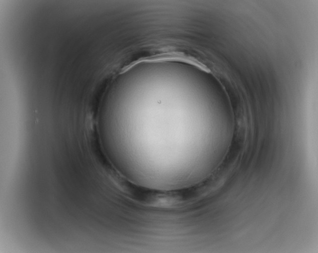 X0000115790555200911201334