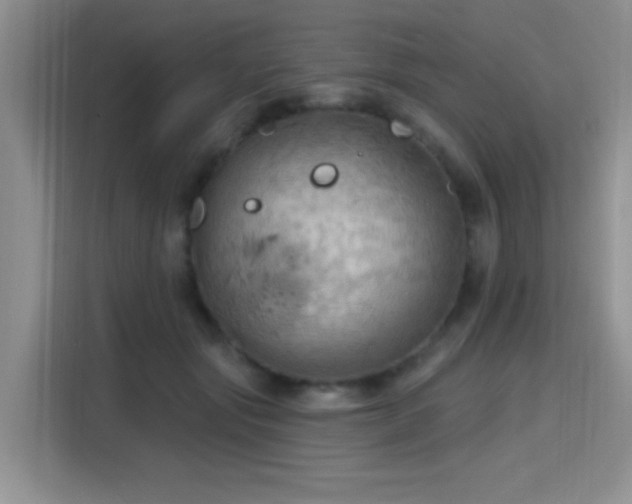 X0000115790557200911201334