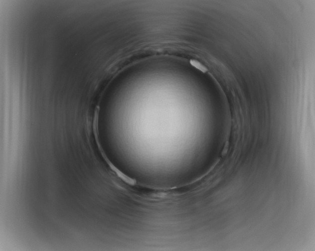 X0000115790558200911201334