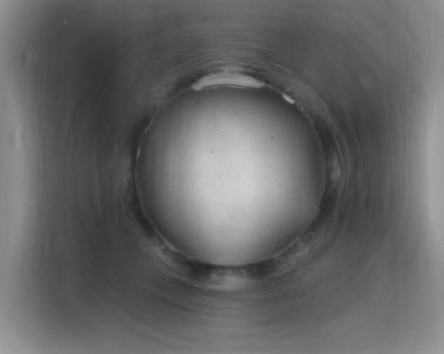 X0000115790559200911201334