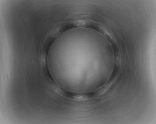 X0000115790561200911201334