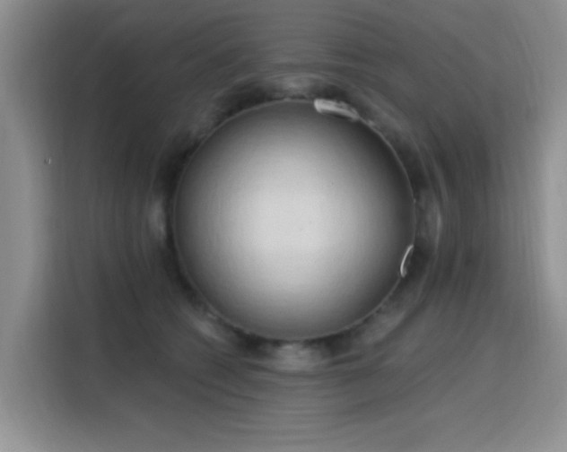 X0000115790562200911201334