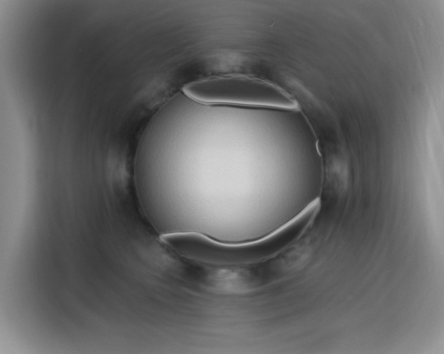 X0000115790566200911201334