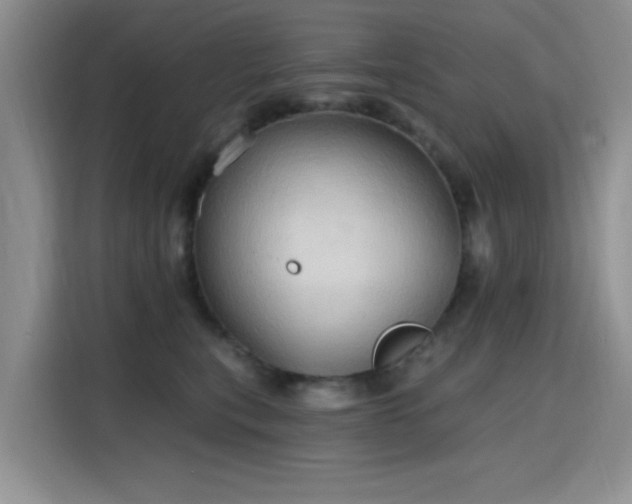 X0000115790567200911201334