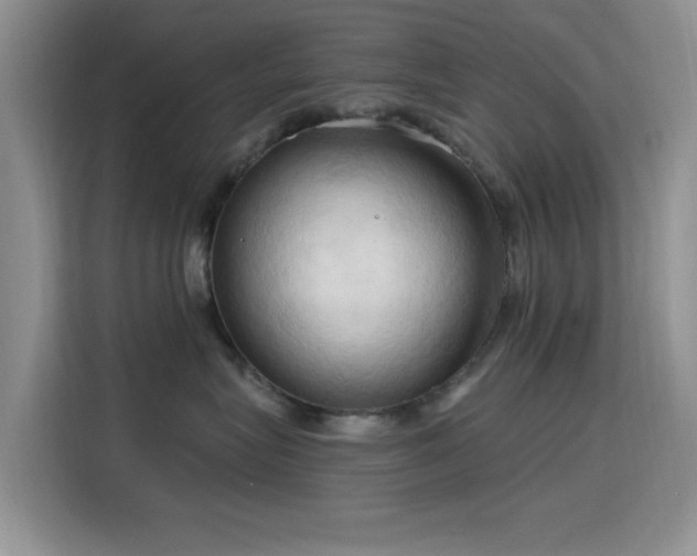 X0000115790575200911201334