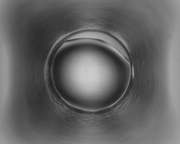 X0000115790579200911201334