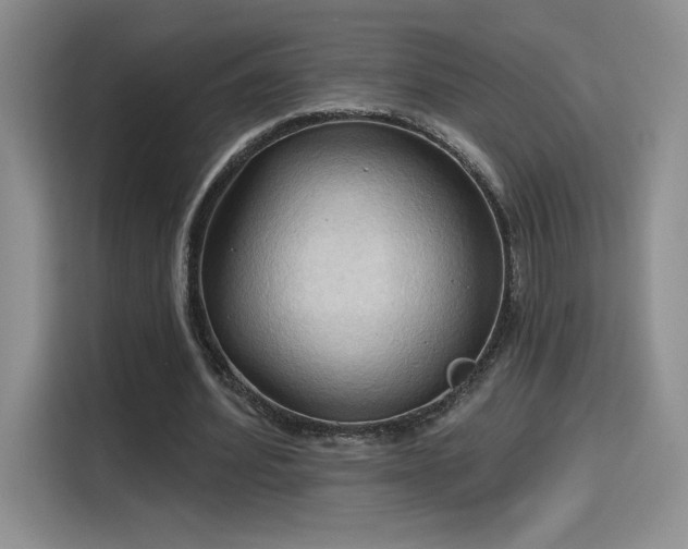 X0000115790580200911201334