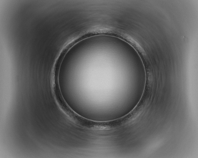 X0000115790582200911201334