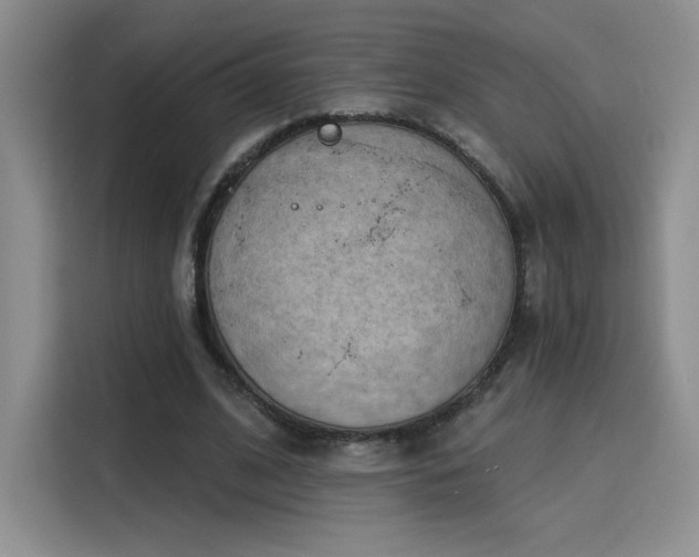 X0000115790584200911201334