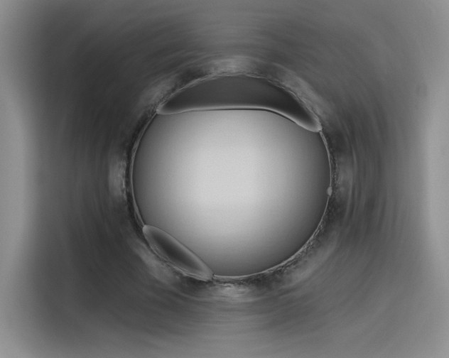 X0000115790585200911201334