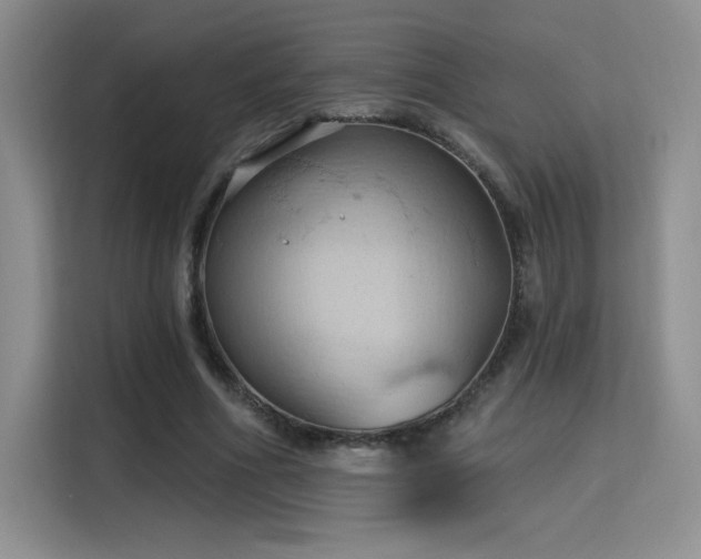 X0000115790586200911201334