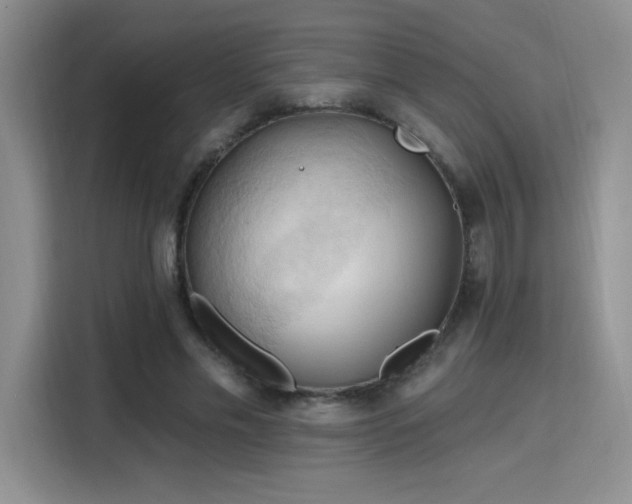 X0000115790589200911201334