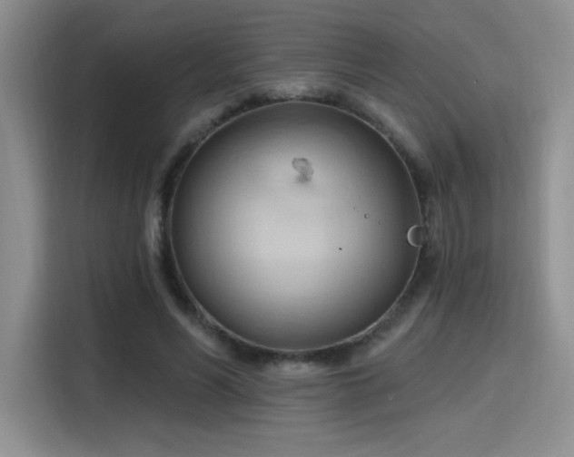 X0000115790590200911201333