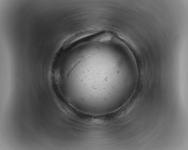 X0000115790592200911201333