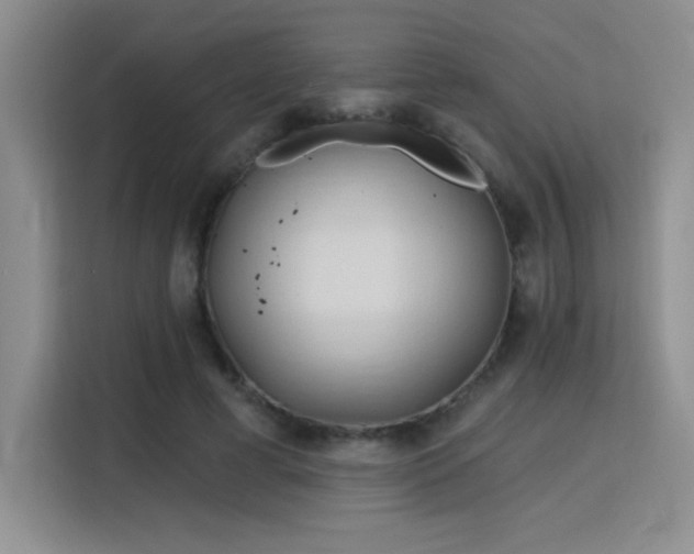 X0000115790593200911201333