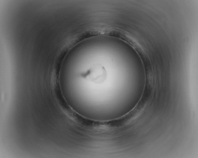 X0000115790594200911201333