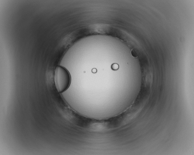 X0000115790595200911201333