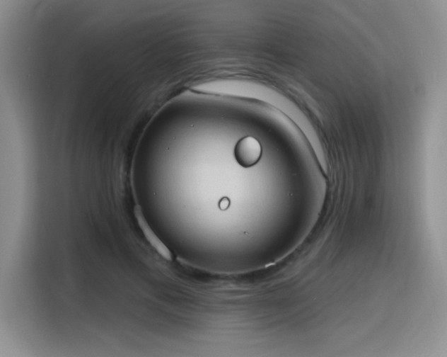 X0000115790597200911201333