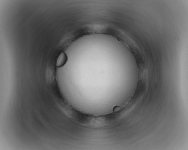 X0000115790599200911201333