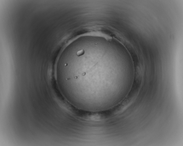 X0000115790600200911201333