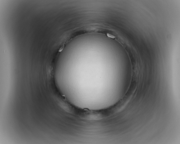 X0000115790601200911201333