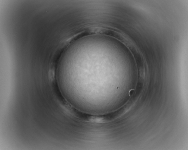 X0000115790602200911201333