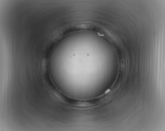 X0000115790605200911201333